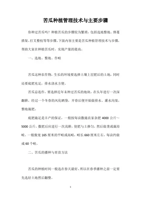 苦瓜种植管理技术与主要步骤
