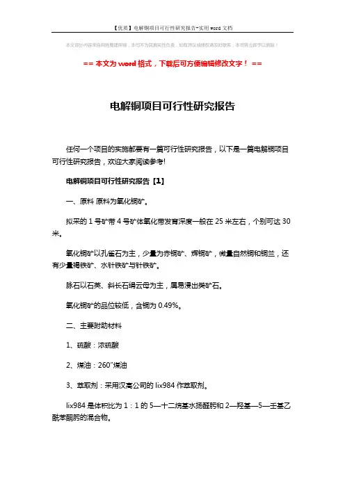 【优质】电解铜项目可行性研究报告-实用word文档 (13页)
