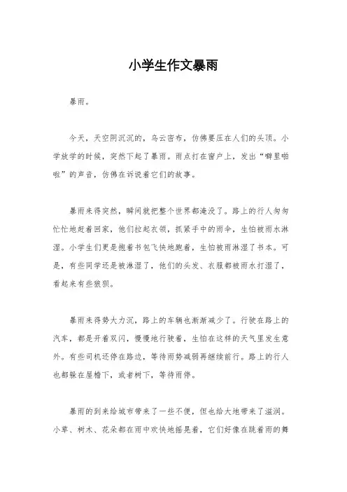 小学生作文暴雨