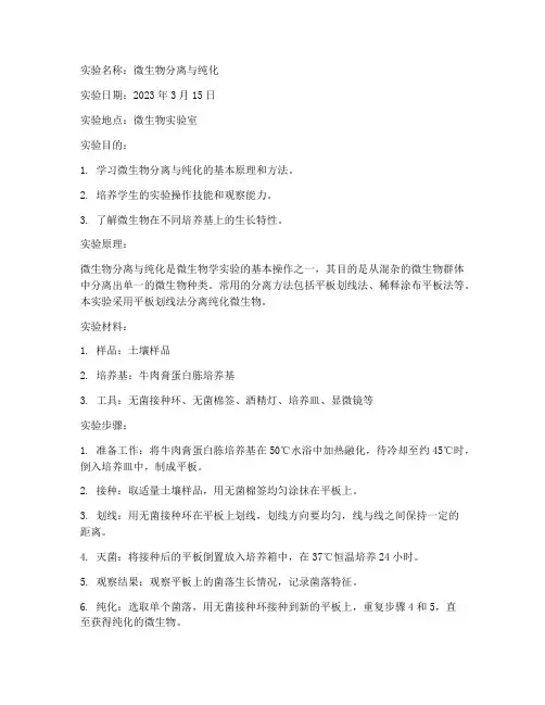 微生物实验实验报告