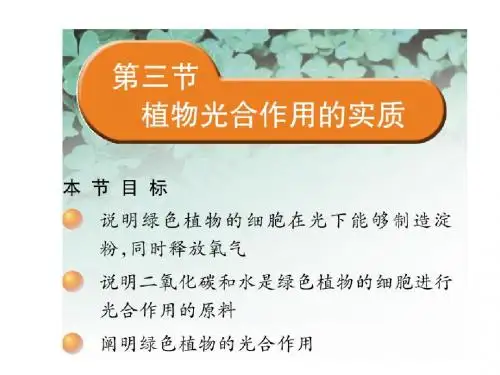 植物光合作用的实质 PPT课件 苏教版