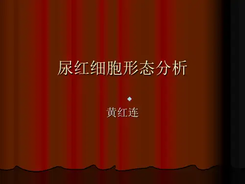 尿红细胞形态分析ppt课件