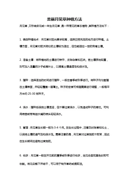 美丽月见草种植方法