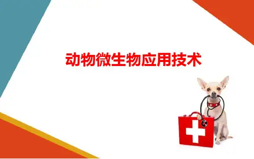 细菌及细菌类疾病的实验室诊断—细细菌的致病性(动物微生物技术课件)