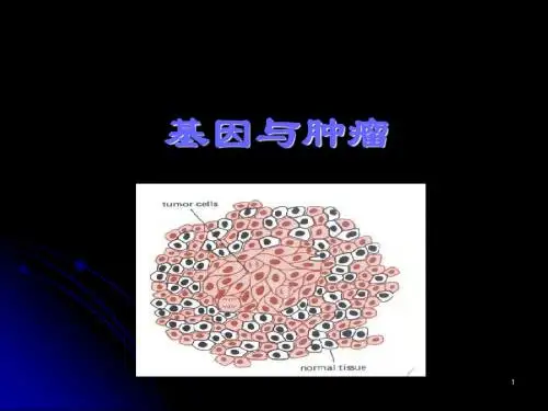 肿瘤分子生物学——1