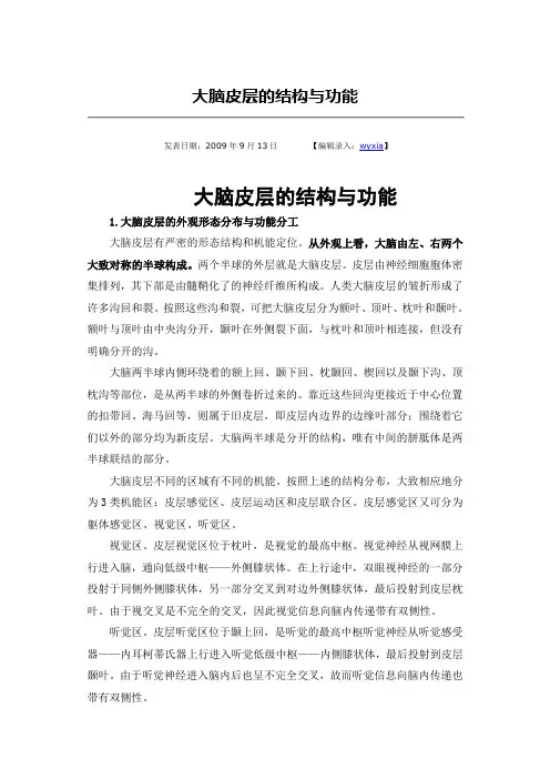 大脑皮层的结构与功能