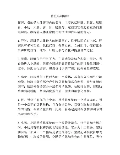 腑脏名词解释