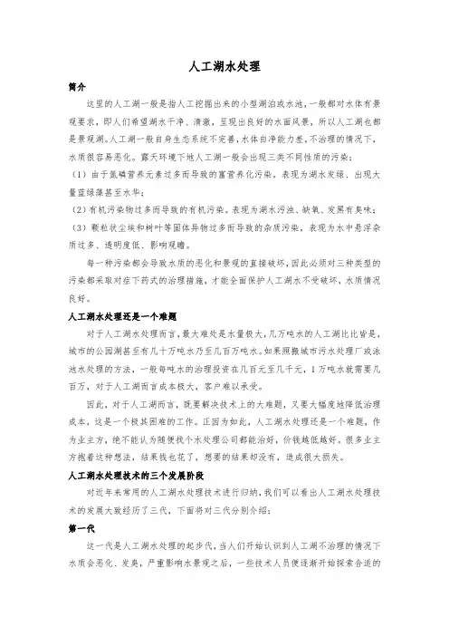 人工湖生态建设及水质处理措施