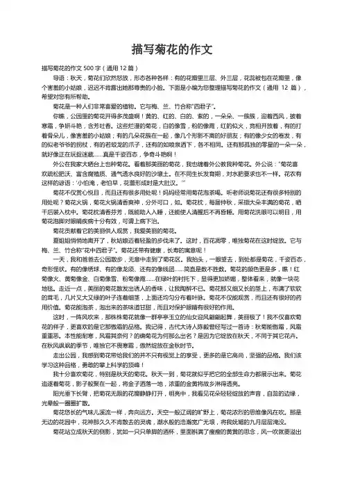 描写菊花的作文500字（通用12篇）