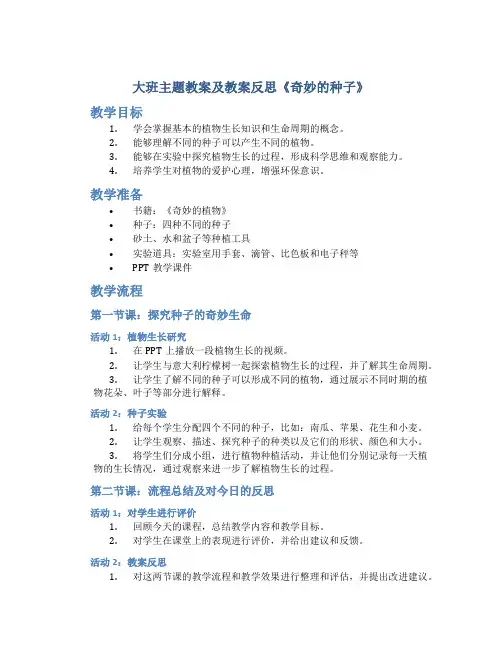 大班主题教案及教案反思《奇妙的种子》