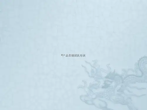 地氯雷他定片营销团队培训