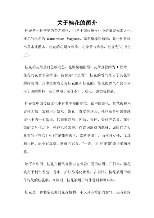 关于桂花的简介