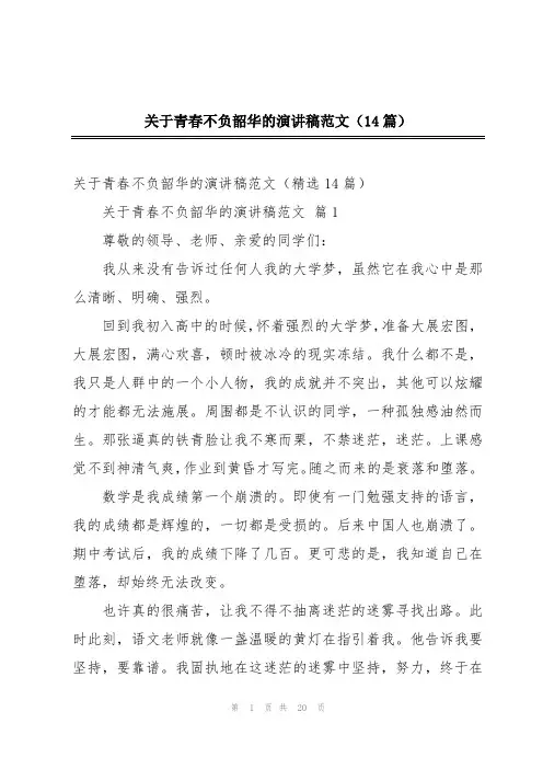 关于青春不负韶华的演讲稿范文(14篇)