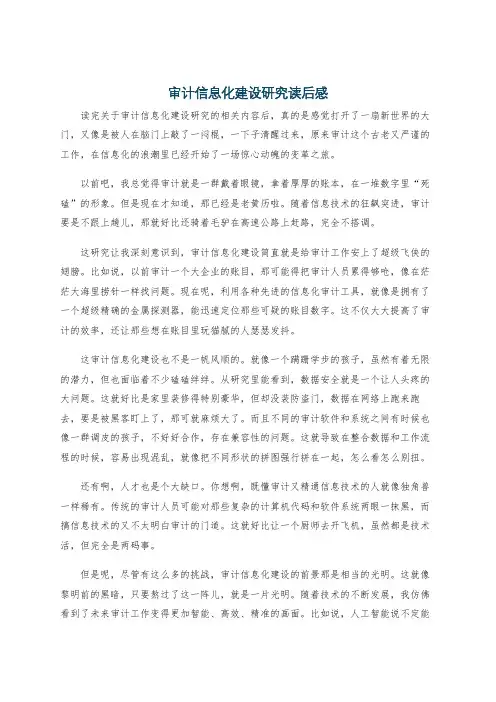 审计信息化建设研究读后感