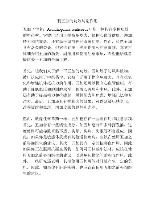 刺五加的功效与副作用