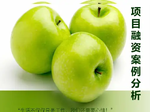项目融资案例分析--恒源电厂