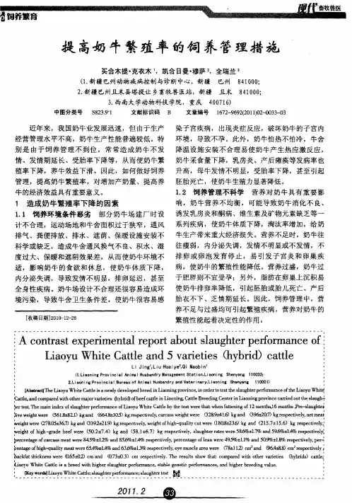提高奶牛繁殖率的饲养管理措施
