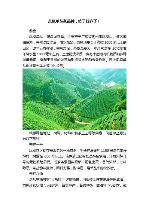 凤凰单丛茶品种，终于找齐了！