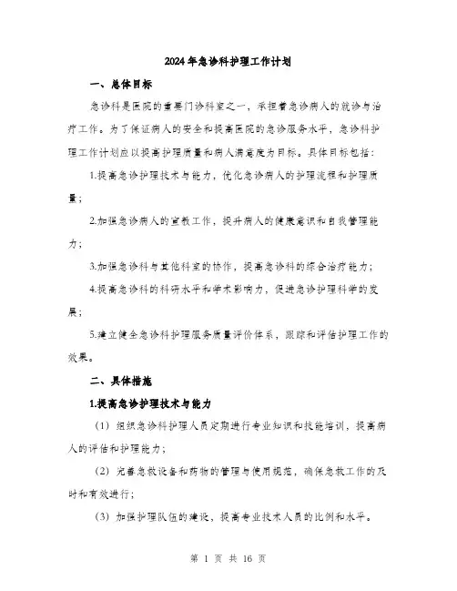 2024年急诊科护理工作计划(5篇)