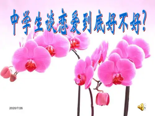 《早恋》主题班会课件