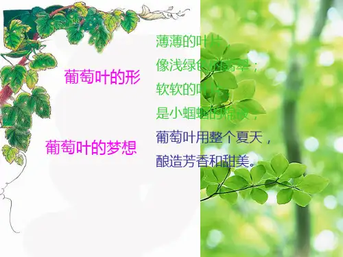 三年级语文上册《葡萄叶的梦》课件3 语文a语文a件