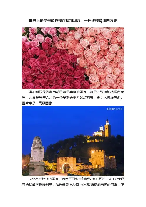 世界上最昂贵的玫瑰在保加利亚，一斤玫瑰精油四万块
