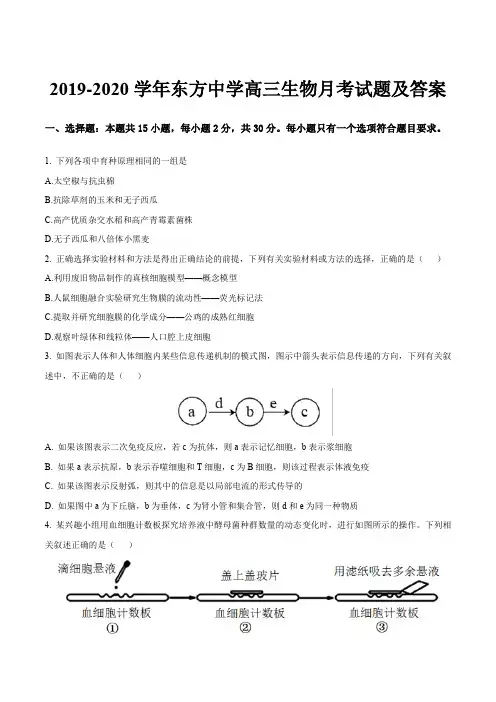 2019-2020学年东方中学高三生物月考试题及答案