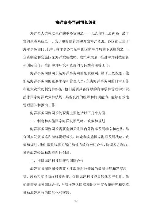 海洋事务司副司长级别