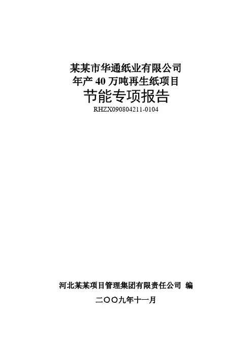 造纸项目立项节能专项评估报告