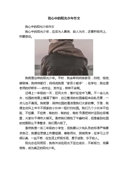 我心中的阳光少年作文