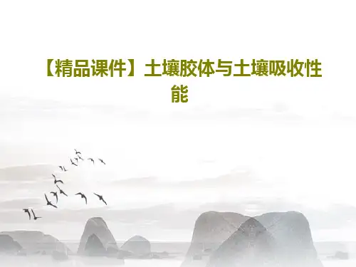 【精品课件】土壤胶体与土壤吸收性能PPT文档共43页