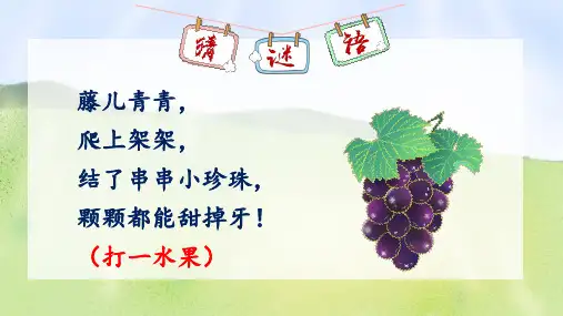 11 葡萄沟 课件(共60张PPT)