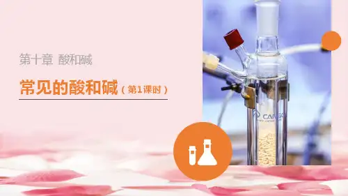 《常见的酸和碱》PPT精品课件(第1课时)