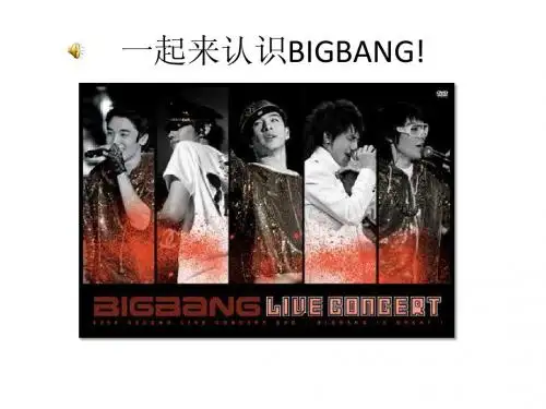 韩国明星bigbang介绍