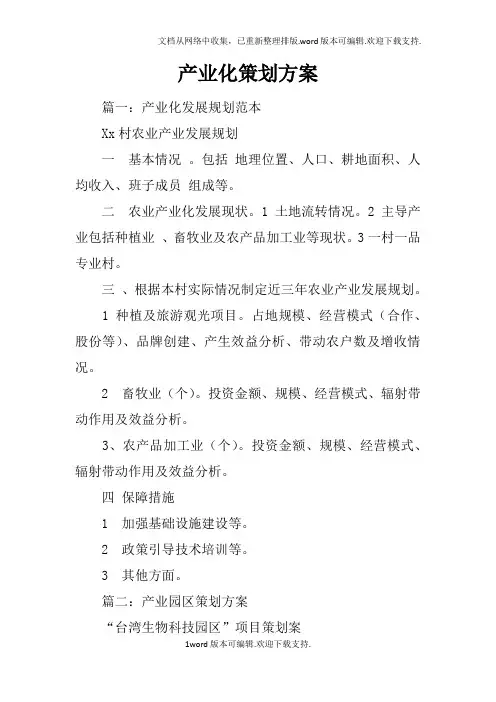 产业化策划方案