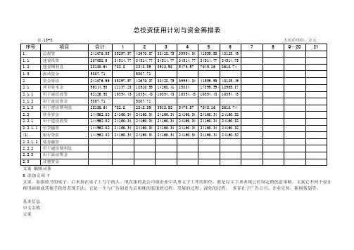 总投资使用计划与资金筹措表