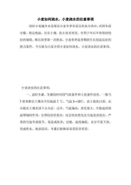 小麦如何浇水,小麦浇水的注意事项.doc