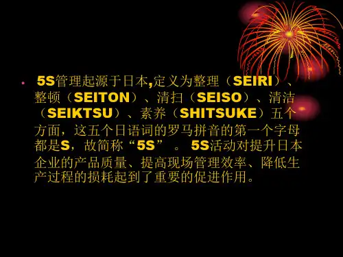 5S管理内涵精编版