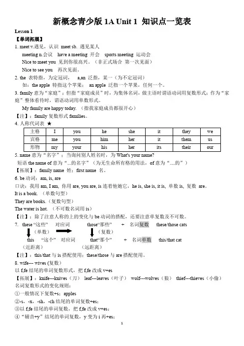 新概念青少版1A Unit 1 Meet the family! 知识点总结