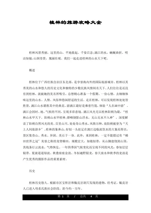 桂林的旅游攻略大全演示课件