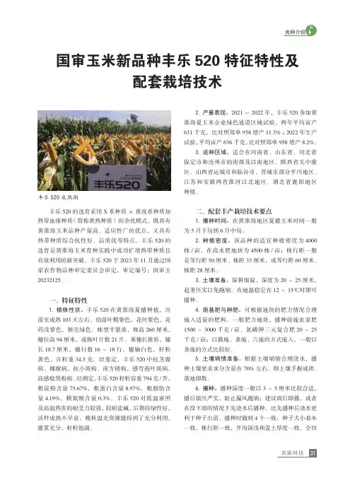 国审玉米新品种丰乐520_特征特性及配套栽培技术