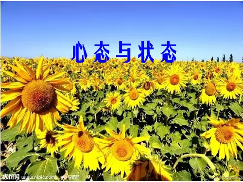 心态与状态培训课件
