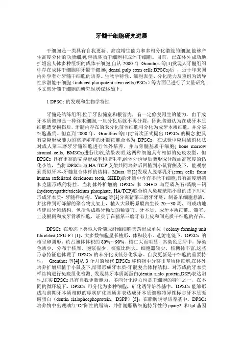 牙髓干细胞研究进展