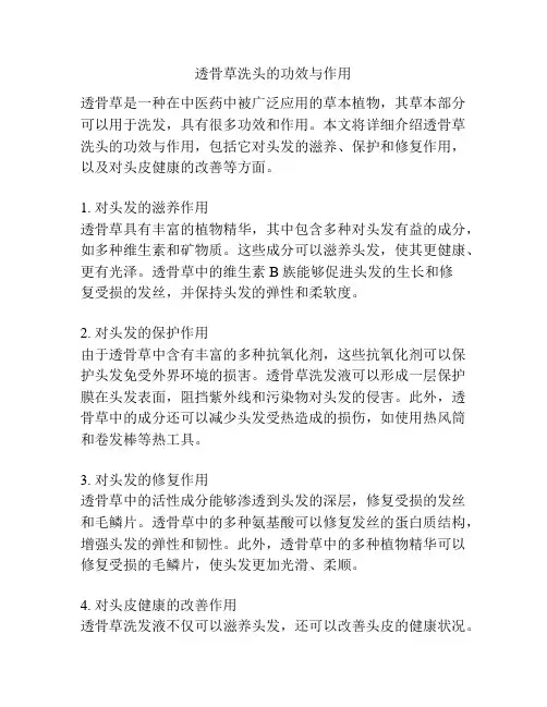 透骨草洗头的功效与作用