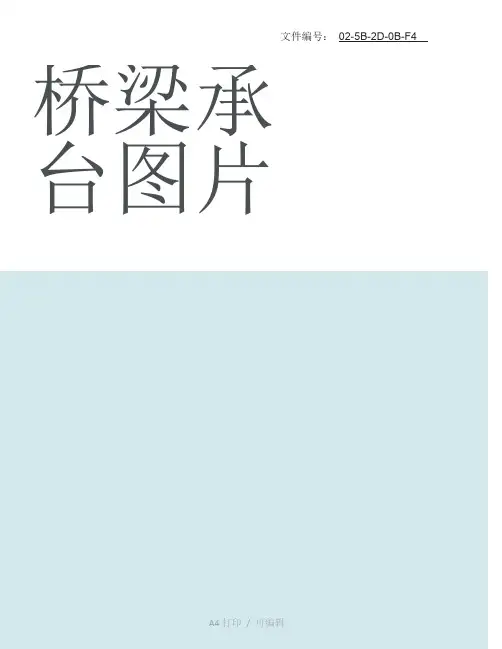 整理桥梁承台图片