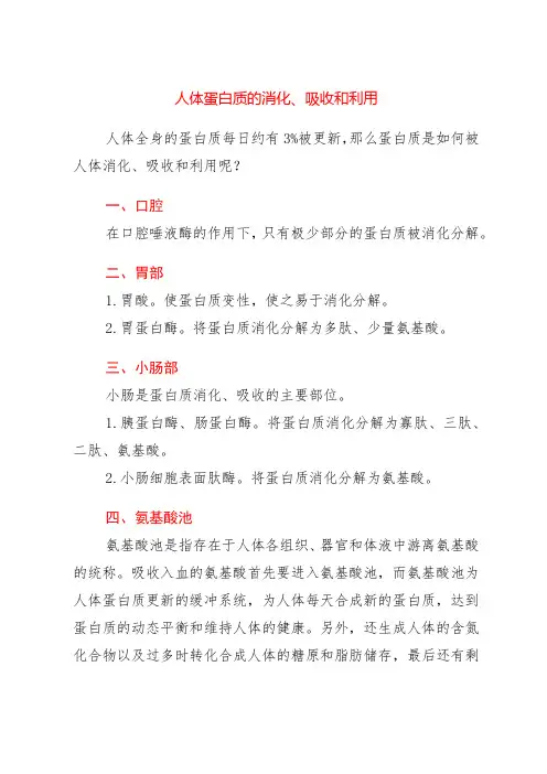 人体蛋白质的消化、吸收和利用