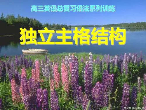 高考英语 独立主格结构