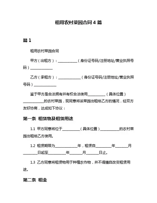 租用农村菜园合同4篇