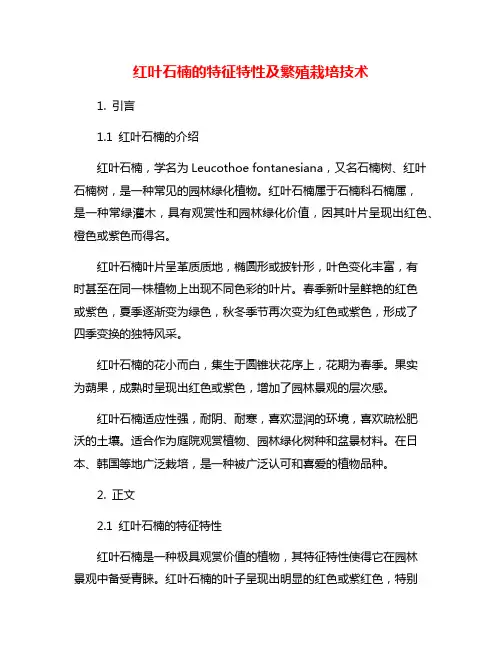 红叶石楠的特征特性及繁殖栽培技术
