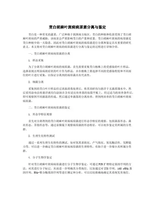 茭白胡麻叶斑病病原菌分离与鉴定